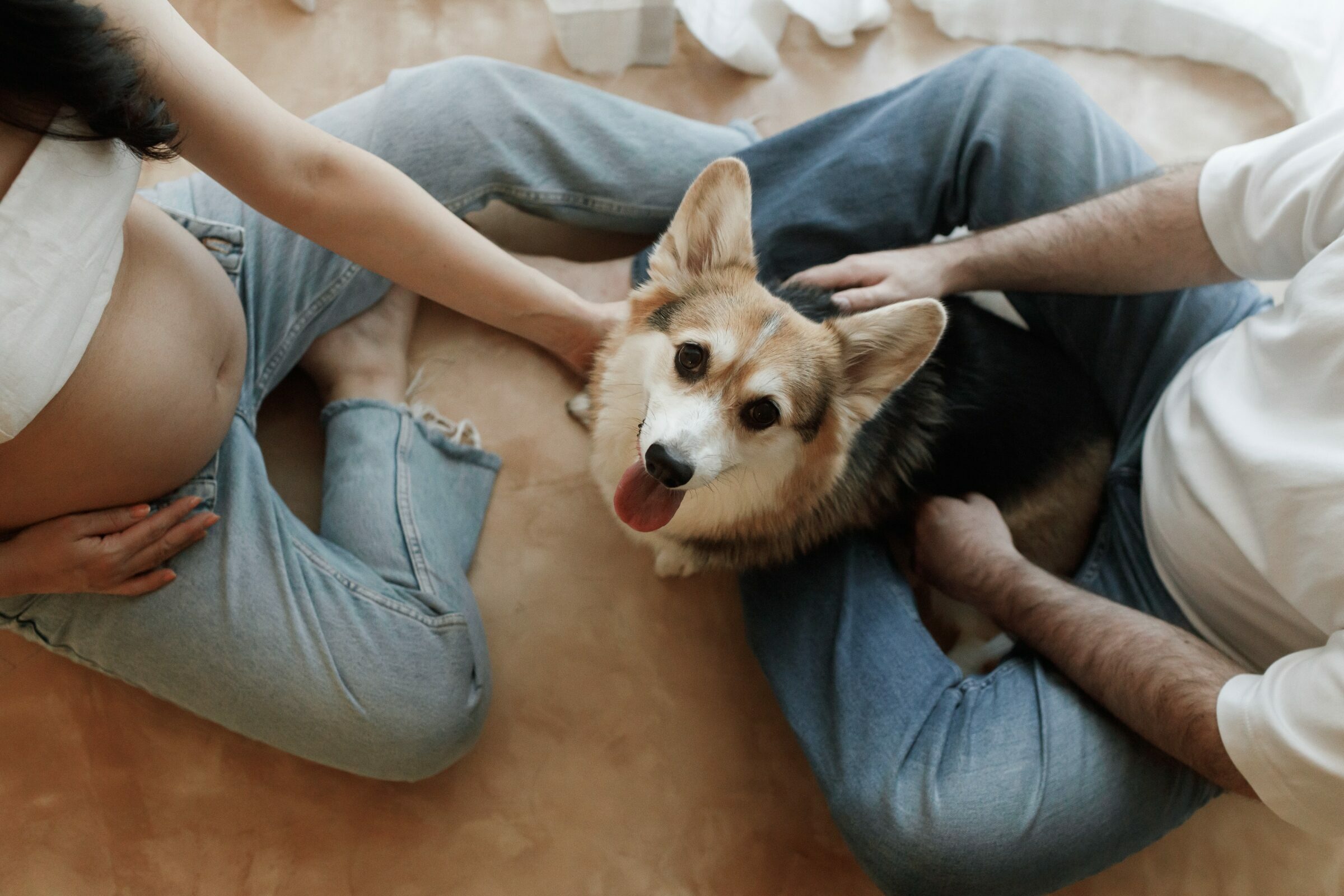 Foto de GABI VILLAS 26